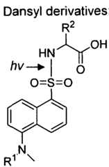 Figure imgf000174_0004