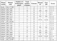 Figure imgf000159_0001