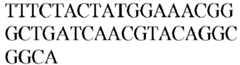 Figure imgb0587