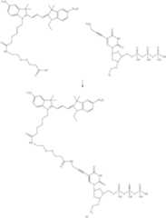 Figure US09388464-20160712-C00011