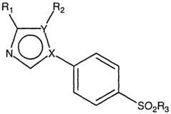Figure imgf000004_0001