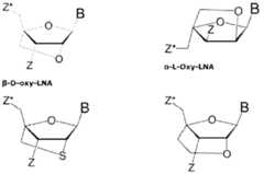 Figure imgf000058_0001