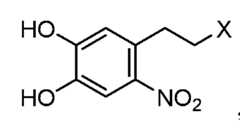 Figure imgf000010_0001