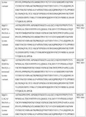 Figure imgf000261_0001