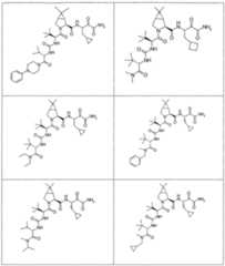 Figure imgf000213_0001