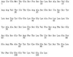 Figure 106123980-A0202-12-0143-131