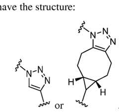 Figure imgf000018_0001