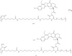 Figure US10869863-20201222-C00104