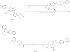 Figure US11969472-20240430-C00182