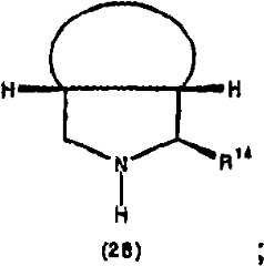 Figure G2009101493490D00082