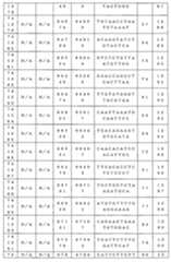 Figure 0007646616000101