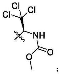 Figure FDA0003361869430000108