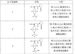 Figure A20071000433000131