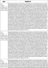 Figure BDA0003627552160001011