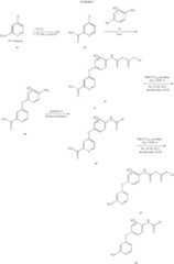 Figure US07714138-20100511-C00016