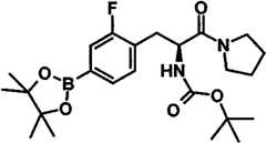 Figure BPA00001431230500363