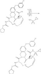 Figure US07829665-20101109-C00549