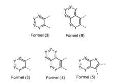 Figure imgf000005_0001