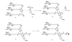 Figure 110121932-A0202-12-0050-161