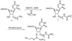 Figure imgf000124_0001