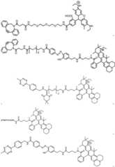 Figure BDA0003670511740002081