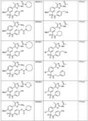 Figure imgf000052_0001