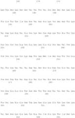 Figure BDA0002115172560001381