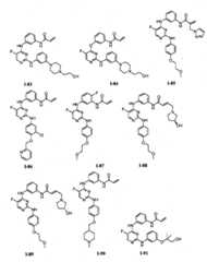 Figure FPA00001280125500311