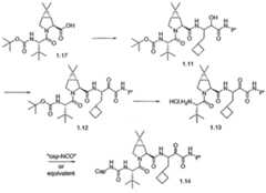 Figure imgf000418_0002