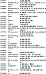 Figure BDA0000057170160000981