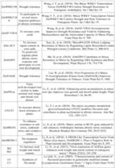 Figure PCTCN2022090268-appb-000053