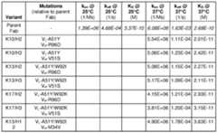 Figure imgf000090_0002