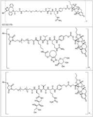 Figure BDA0002889616220000901
