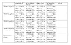 Figure 0007225456000031