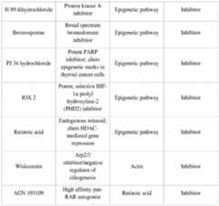 Figure imgf000079_0001