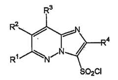 Figure 112013015039051-pct00007