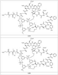 Figure imgf000108_0001