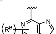 Figure imgf000010_0001