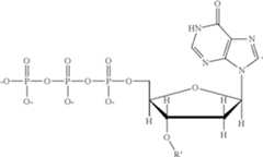 Figure US10260094-20190416-C00023