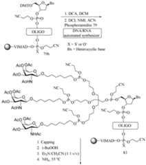 Figure imgf000199_0001