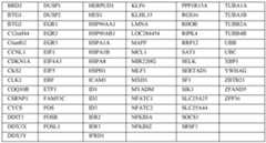 Figure imgf000027_0001