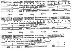 Figure imgf000083_0001