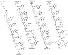 Figure imgf000039_0001