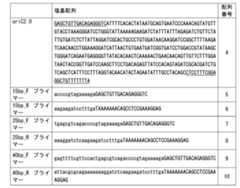Figure JPOXMLDOC01-appb-T000003
