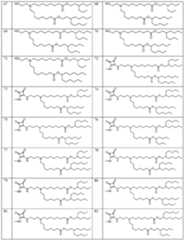 Figure imgf000027_0001