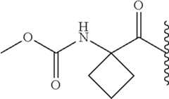 Figure US08653070-20140218-C00121