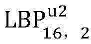 Figure FDA0003135189800000027