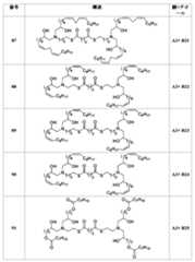 Figure 0007488193000079