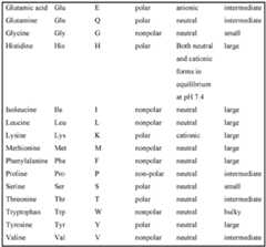 Figure imgf000021_0001
