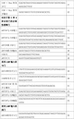 Figure BDA0002669734940000241